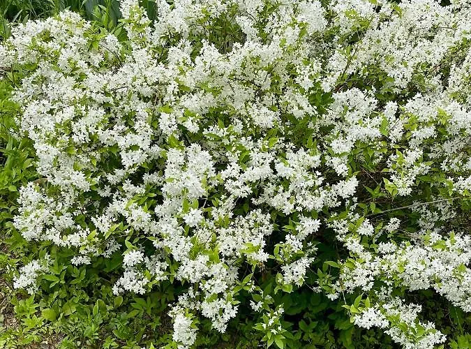 Freiblick 1 Bad Glbg Mit Garten Top1 *